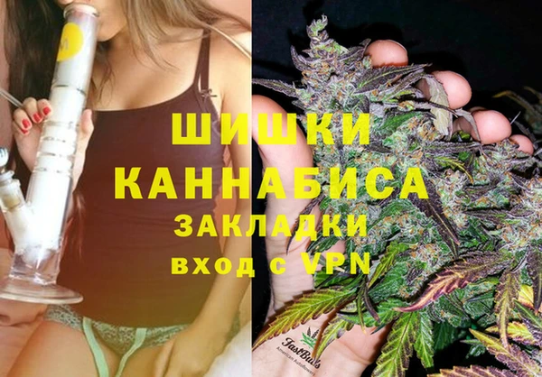 хмурый Инта