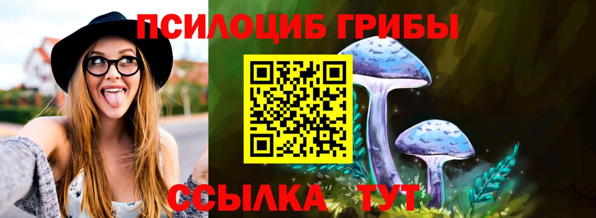 Кинешма  Псилоцибиновые грибы GOLDEN TEACHER  Вход с VPN  Галлюциногенные грибы GOLDEN TEACHER 